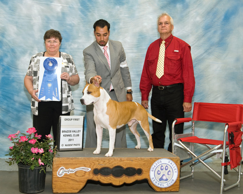 Saturday's Terrier Group Winner